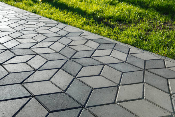 Best Professional Driveway Pavers  in Rising Sun, MD
